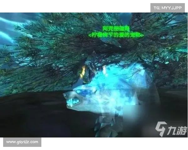 魔兽世界宠物成长等级解析 魔兽世界宠物成长等级解析