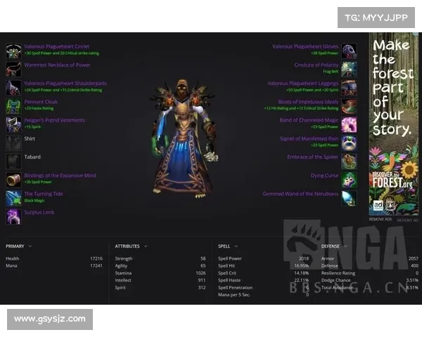 魔兽世界怀旧服术士装备攻略 魔兽世界怀旧服术士装备攻略
